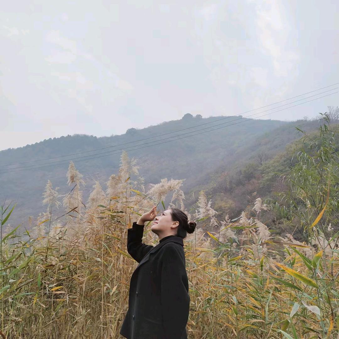 丽姐