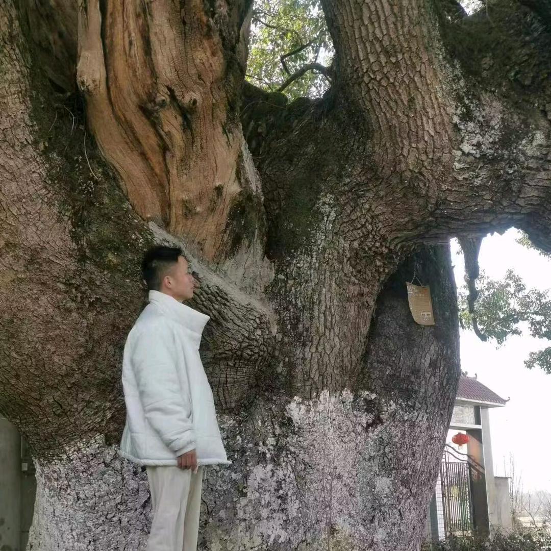 阿星哦