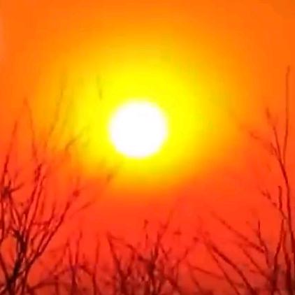 🌅明