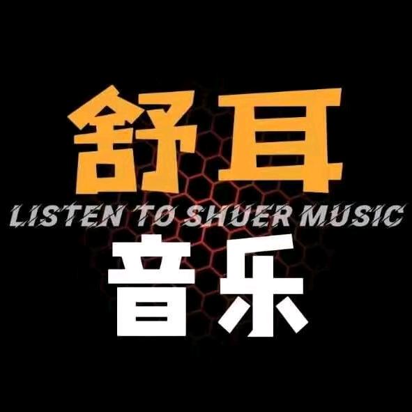 舒耳音乐（车载优盘）