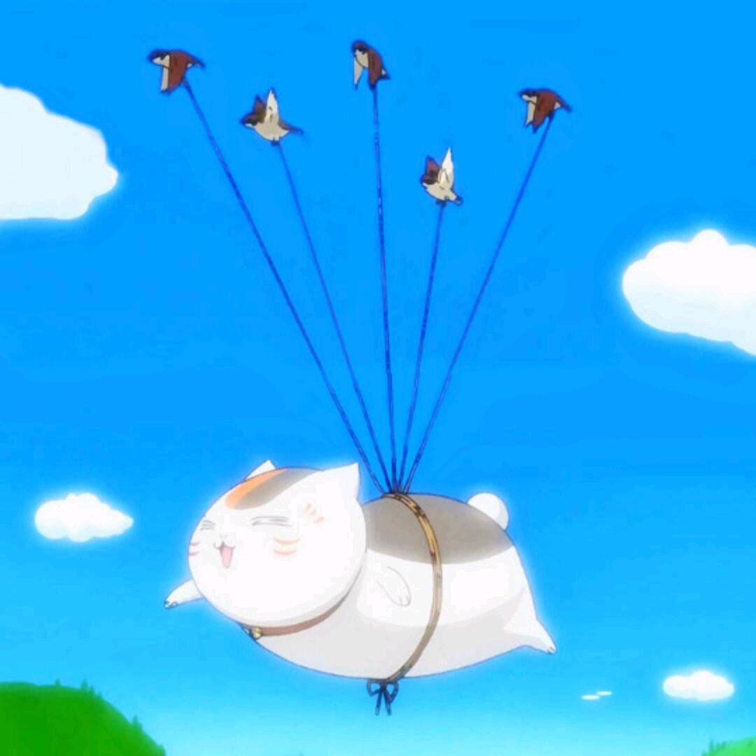 爱吃炸串的大头喵