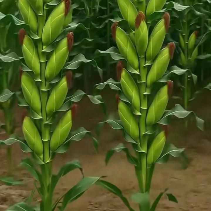 座在坟头调戏鬼