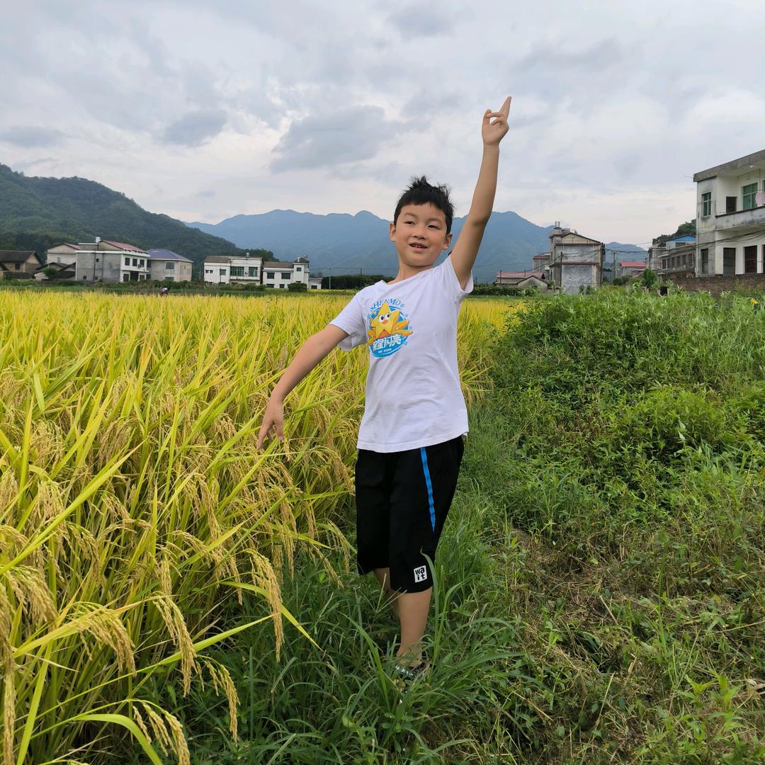 小小雨典