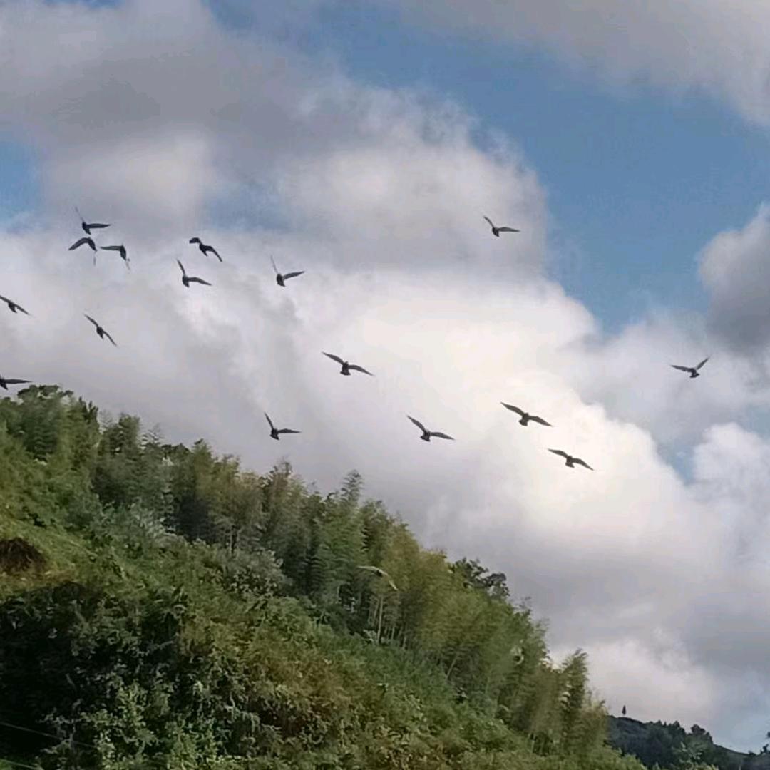 仰空数星星