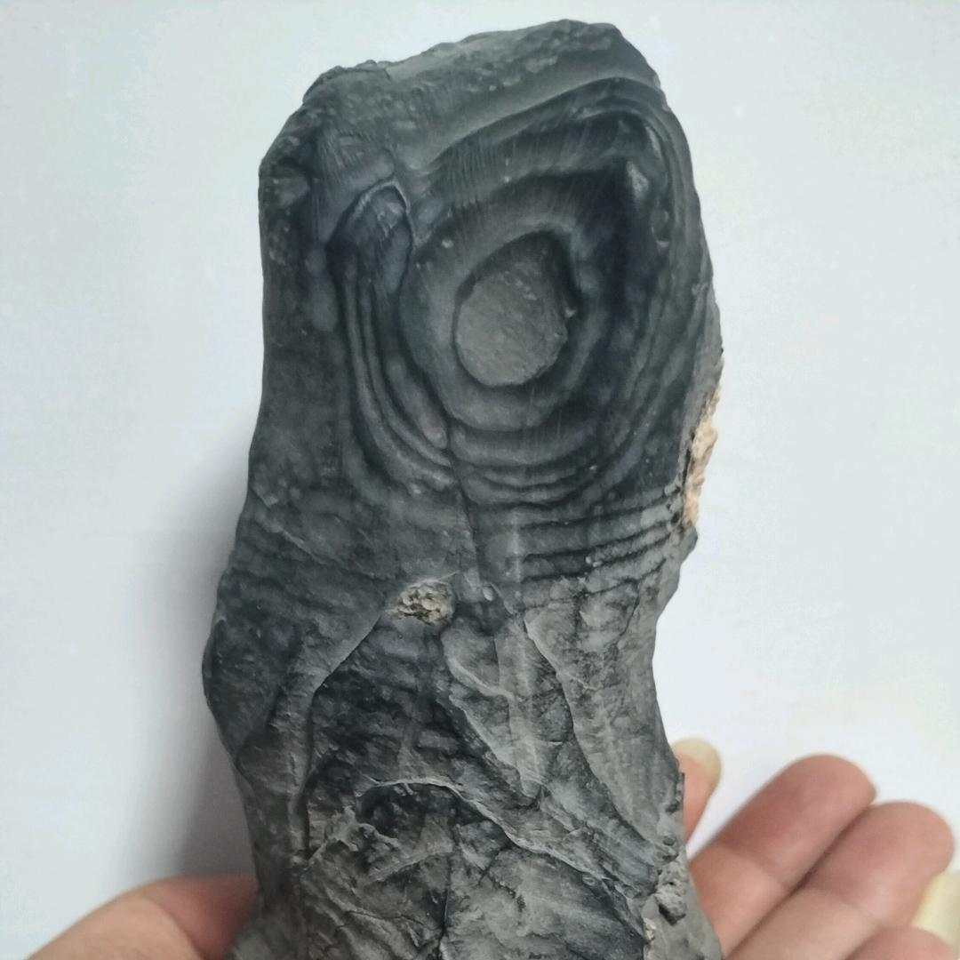 一品石斋（灵璧石）