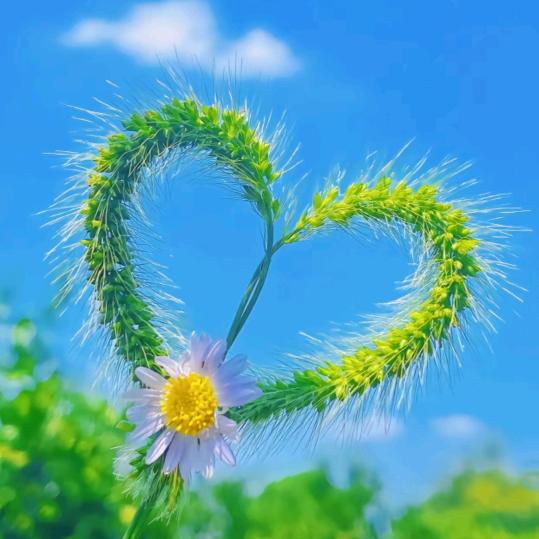 煤气罐罐🍀🍀