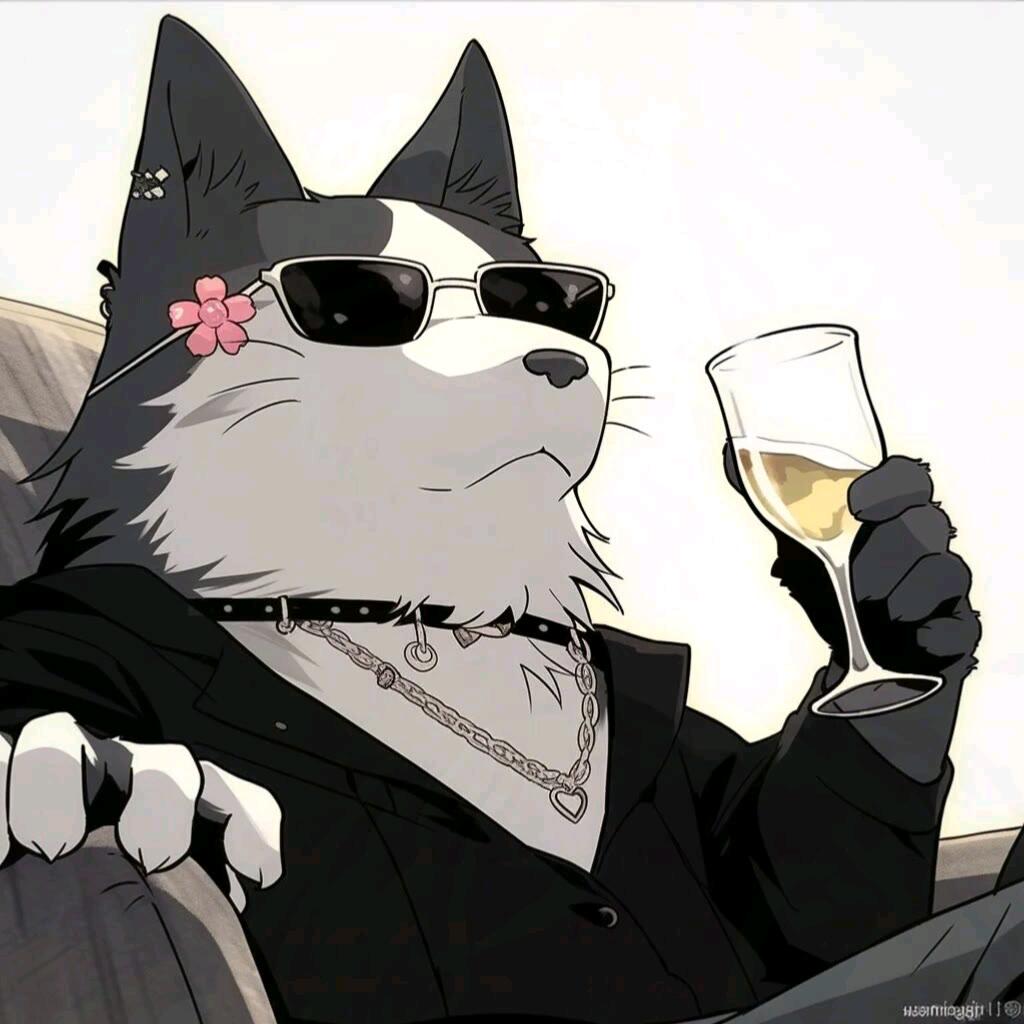 哈士杰.