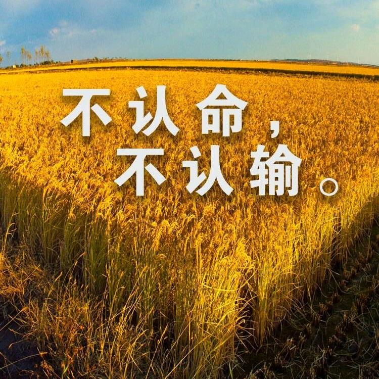 子春生护眼中心魏县店