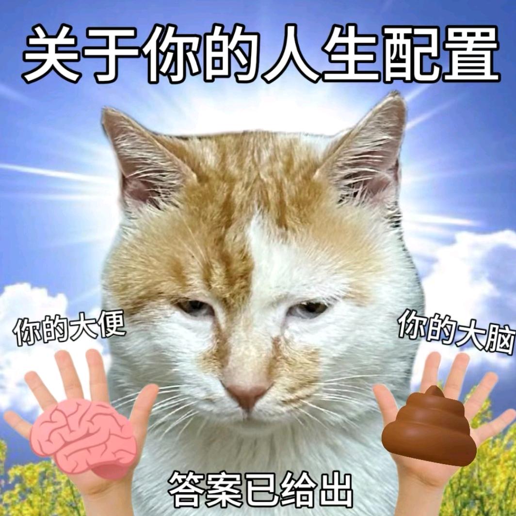 星星也会发光