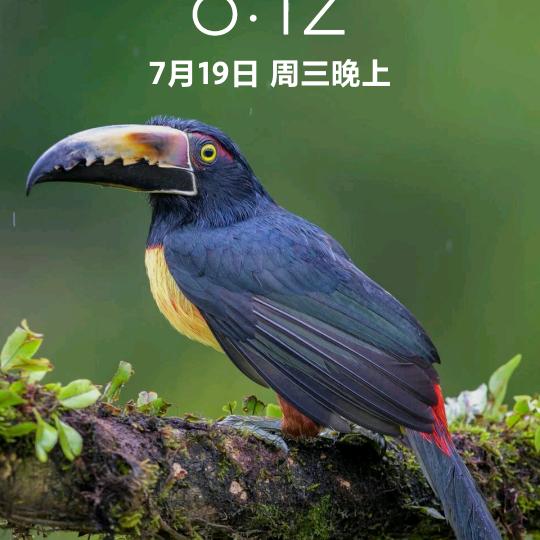 健康与幸福相伴