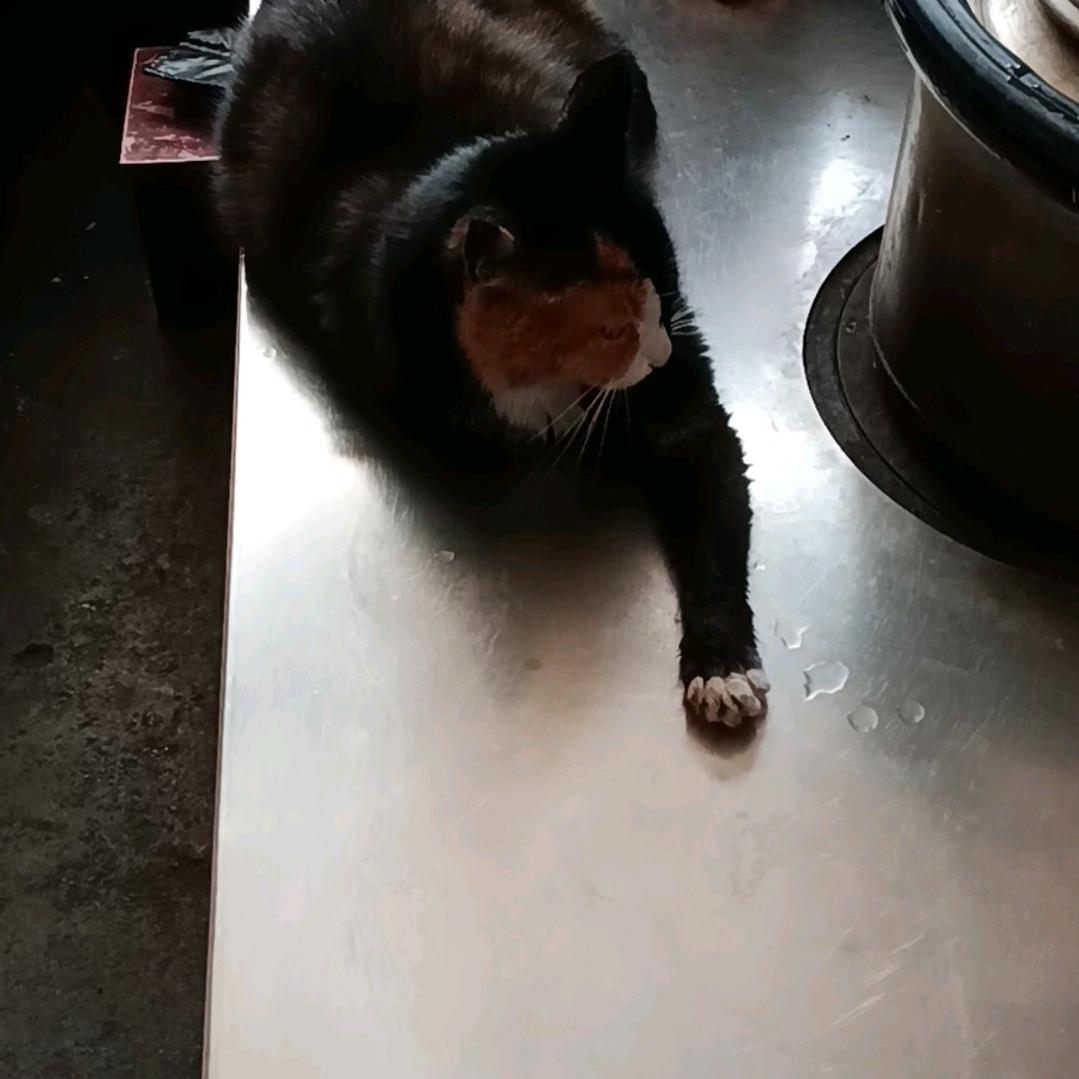 贾半仙有问必答