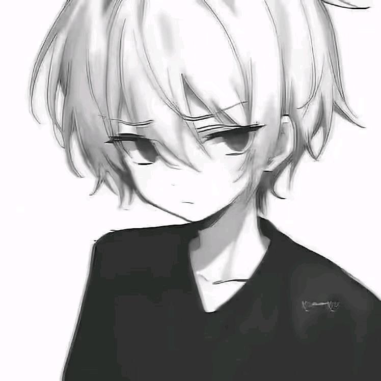 羔羊