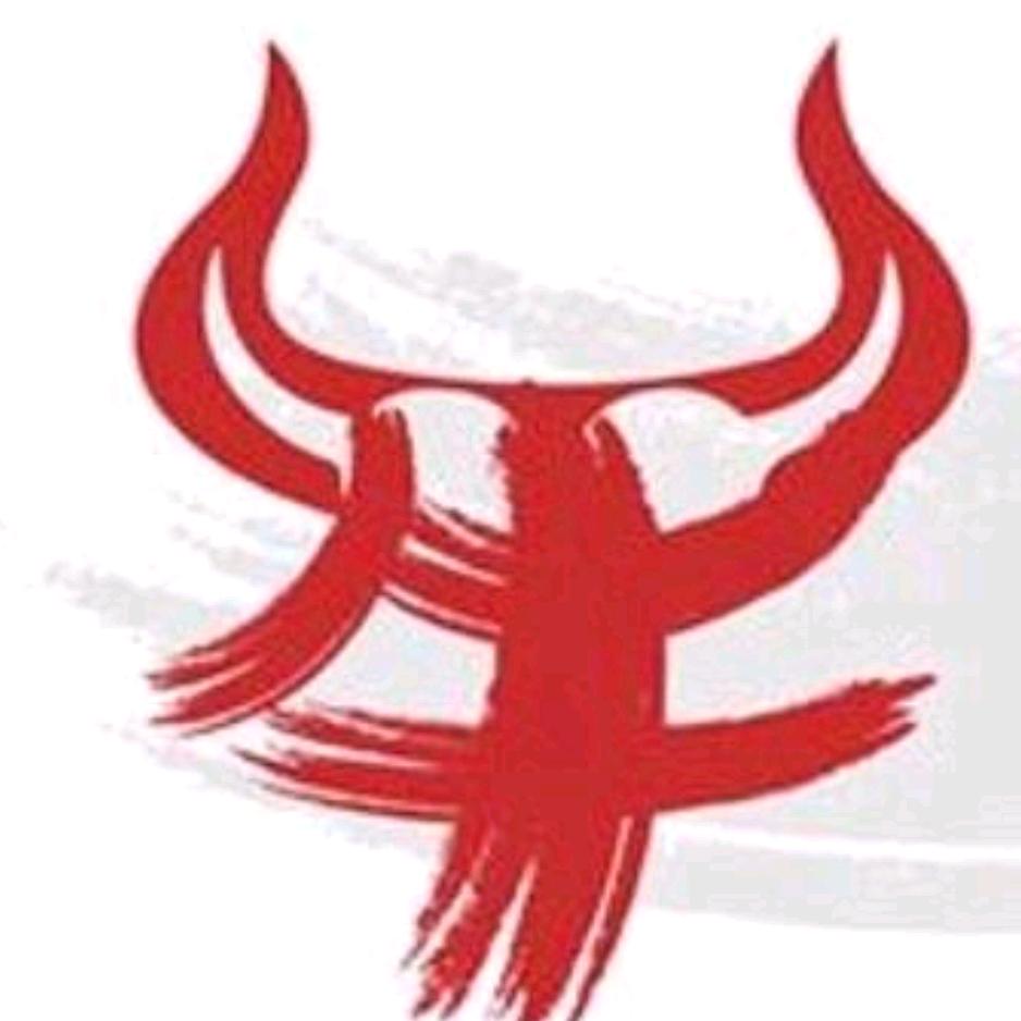 牛羊肉清真肉类