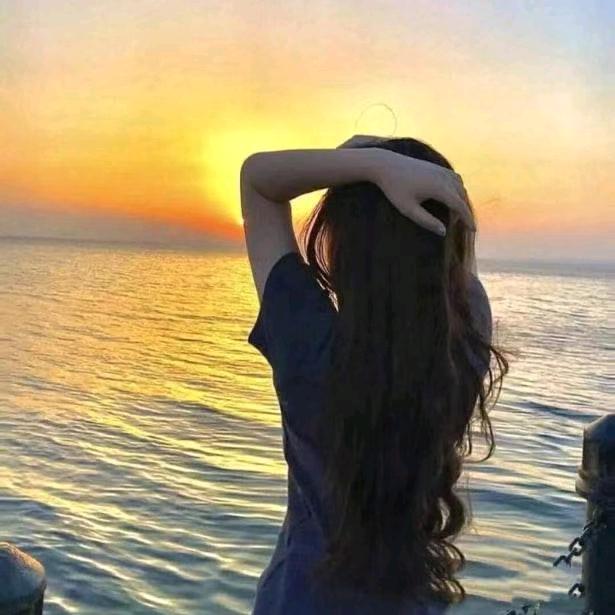 德州金花牛牛🌺