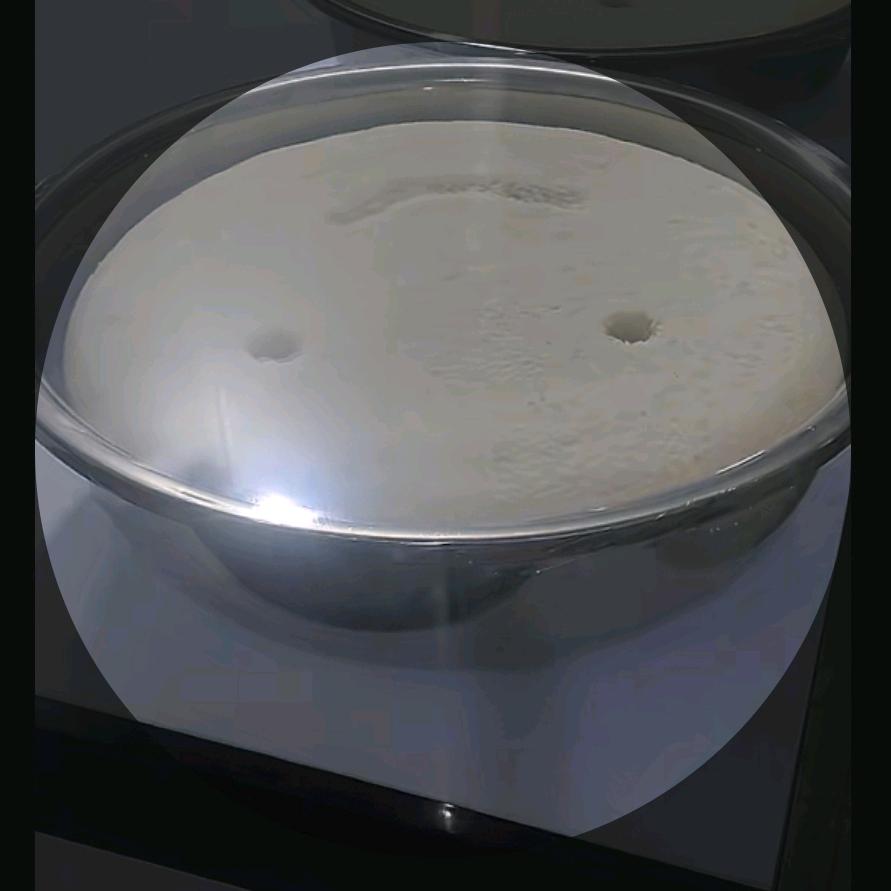 泪目星河