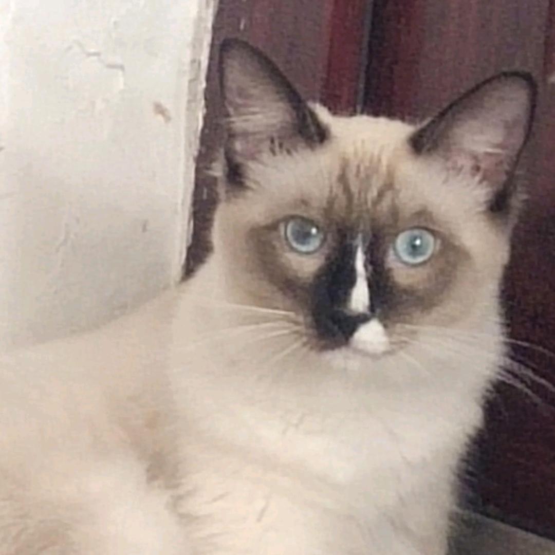 孤身一人盼上岸