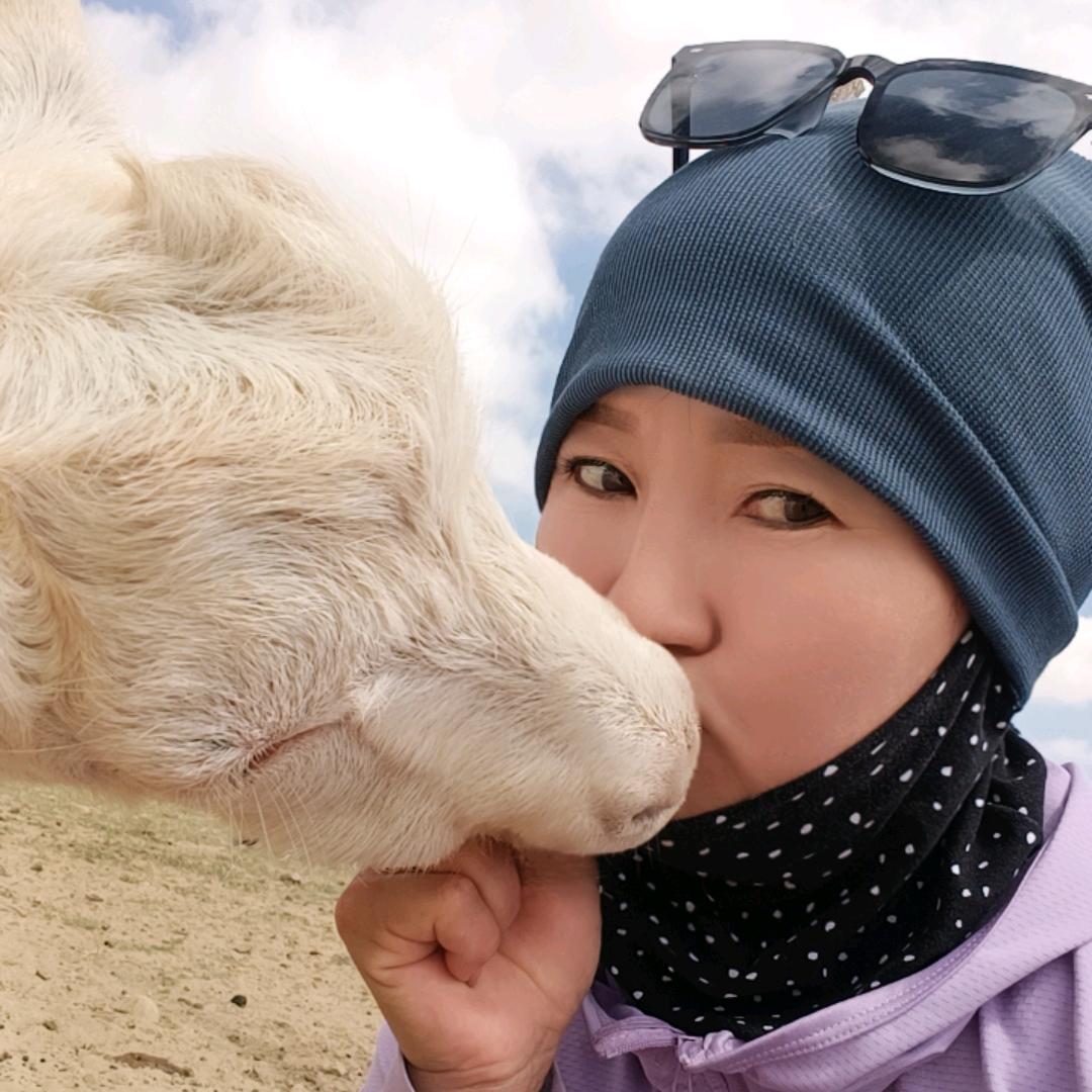草原村播 萨日浪