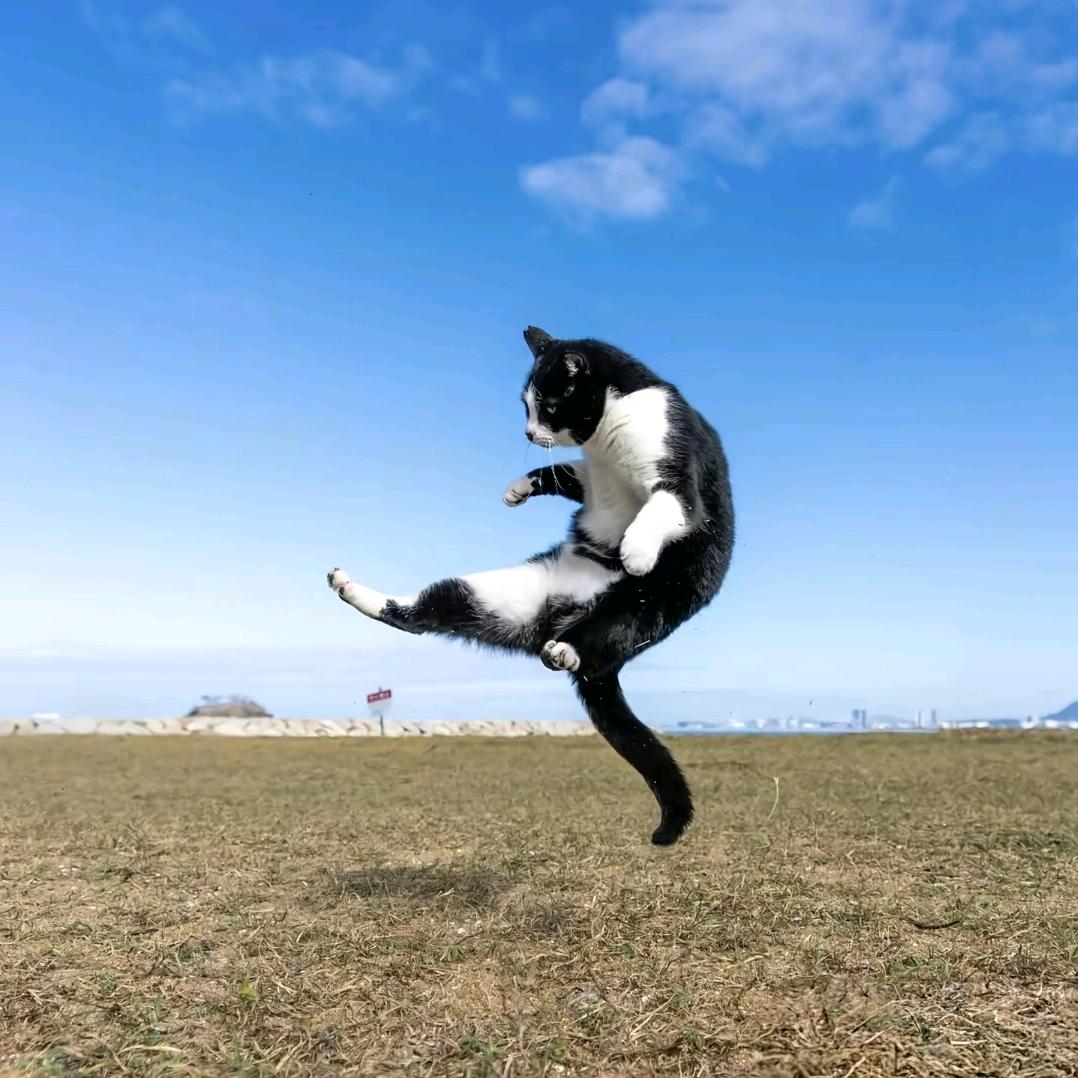 🌈Ong🐳✌🏻🌈