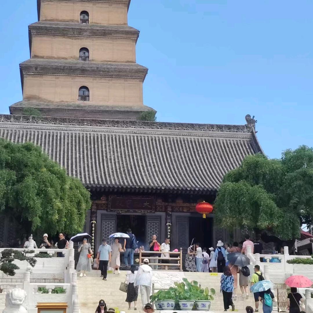 冬天的小雪