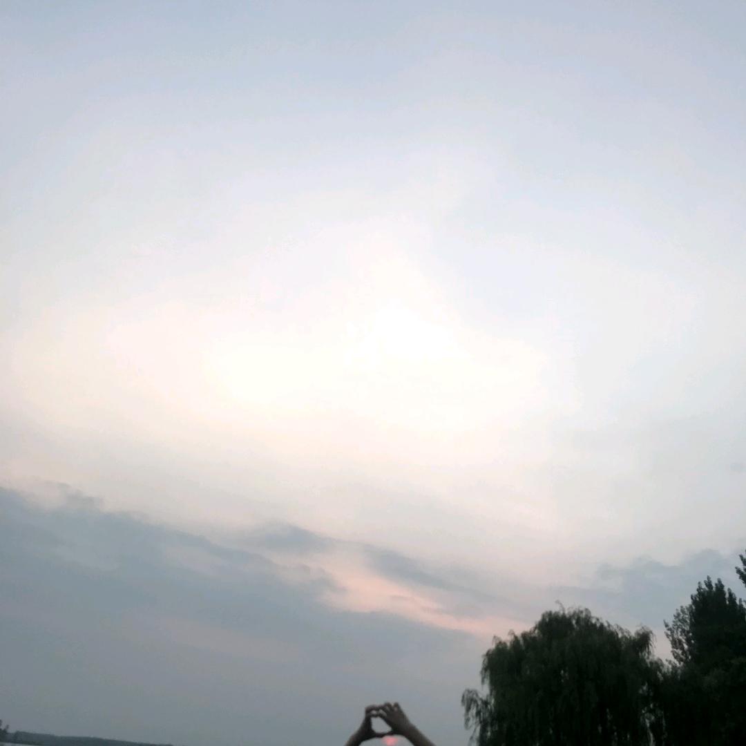 凤凰涅槃
