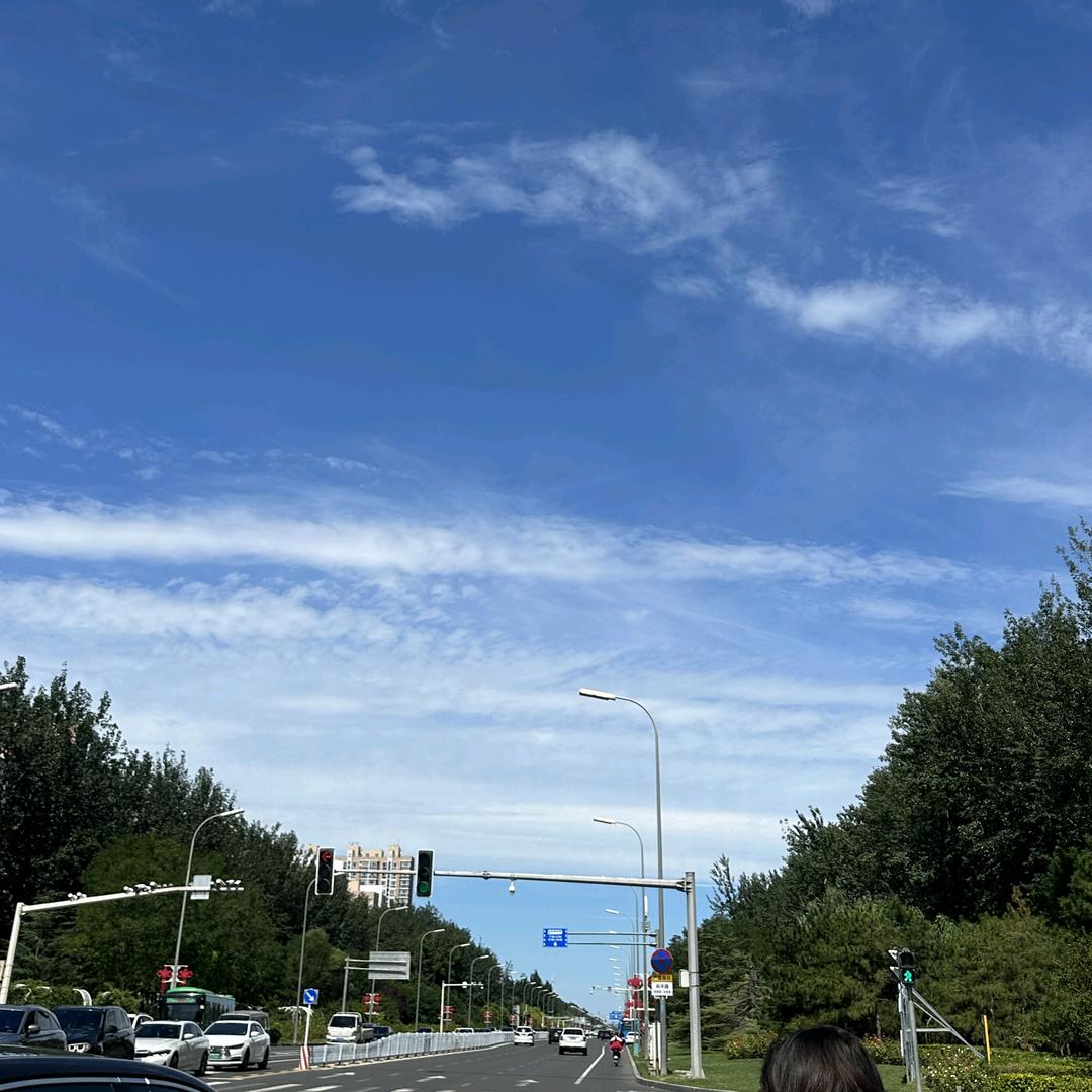 小杨