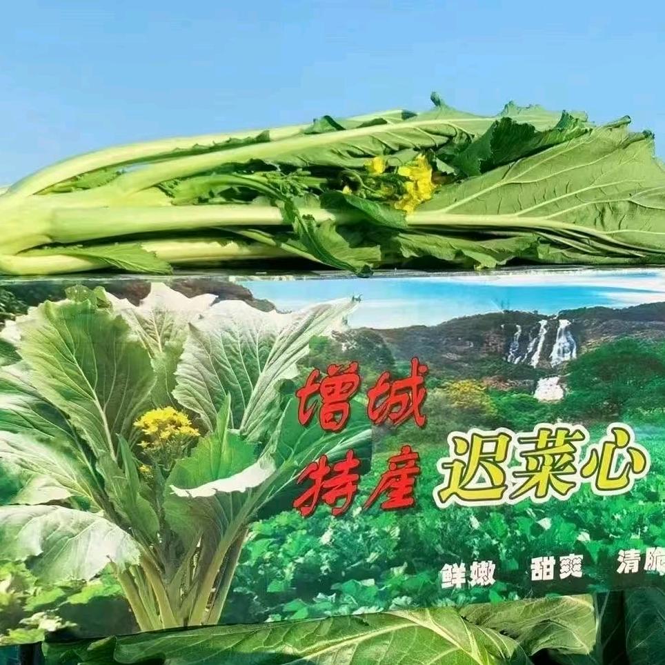 Juicy Lab 鲜菜实验室
