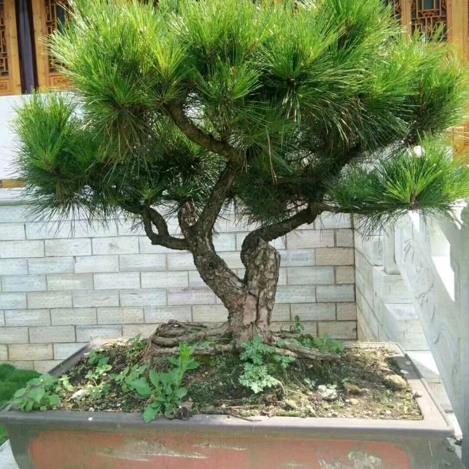 爱的随缘