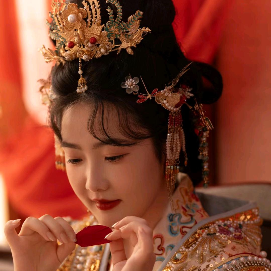 小杨聊书法（每晚19:30直播）