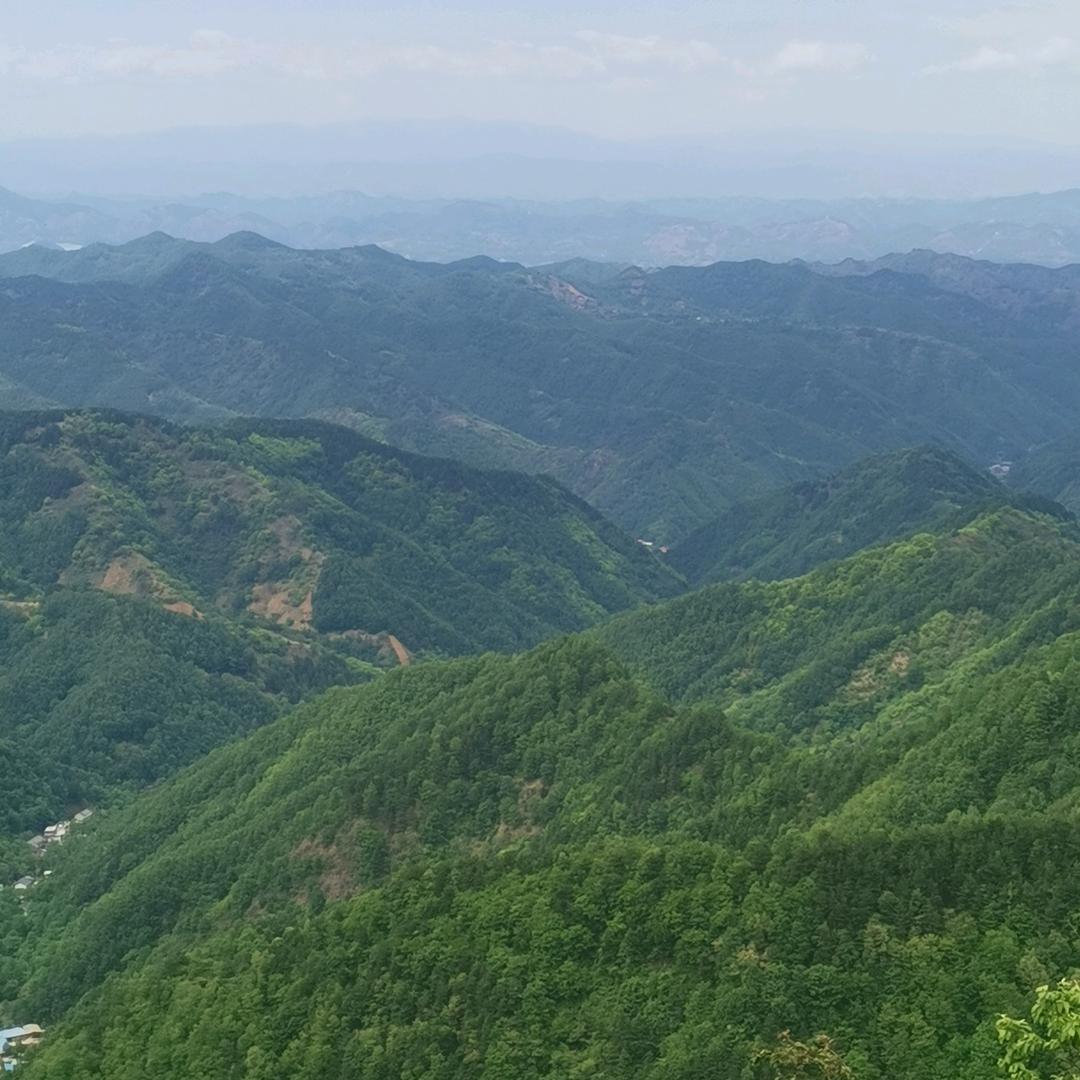 慈江道长