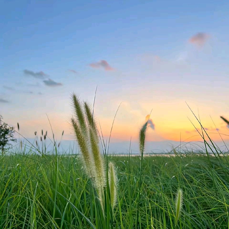 慕雨