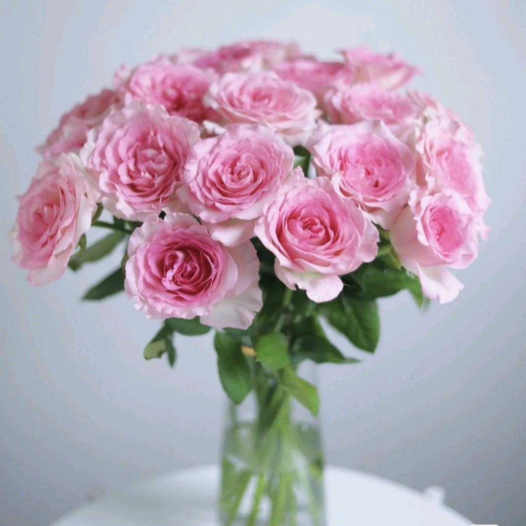 莫奈的花屋