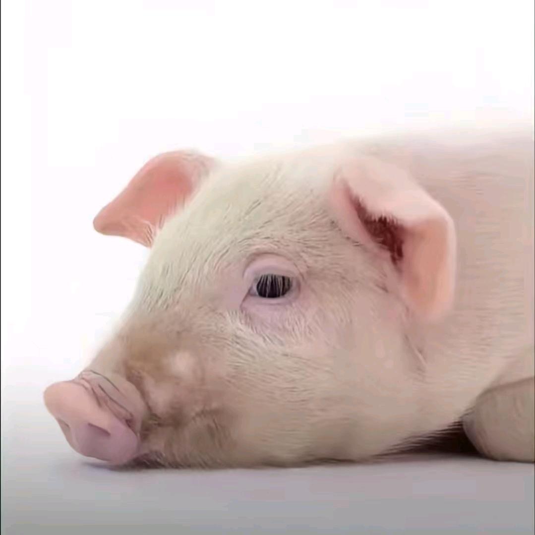 不知