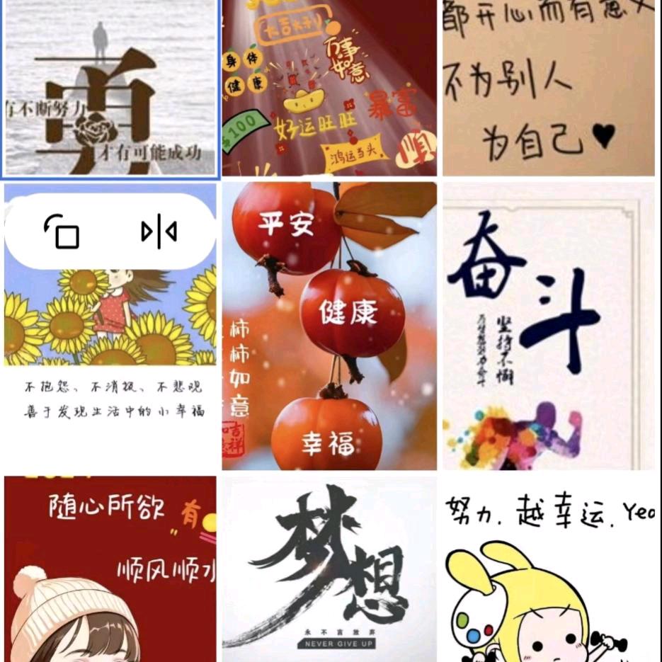 🌻明天会更好