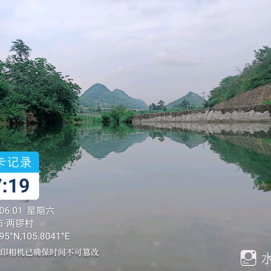 幺铺泉水生态鱼