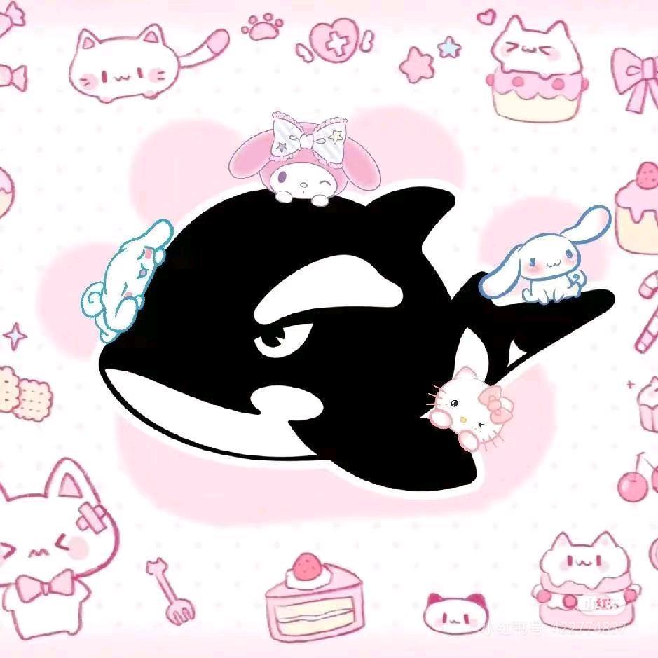 网鱼电竞托乐嘉店