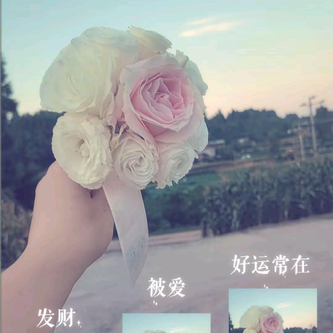谭小谭