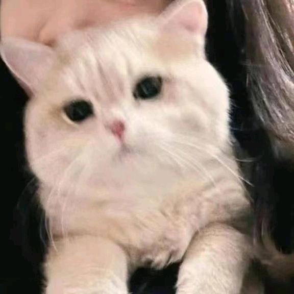 是我和你