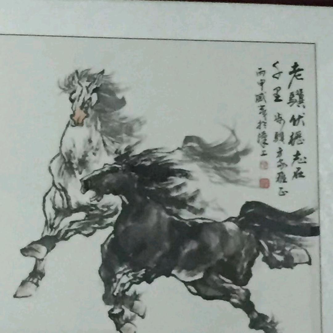 老骥无枥
