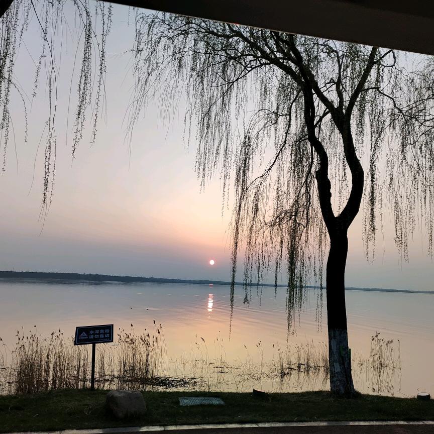 简单幸福一辈子安静