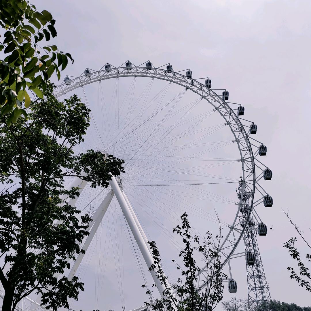 睿睿麻麻(二胎孕晚期)