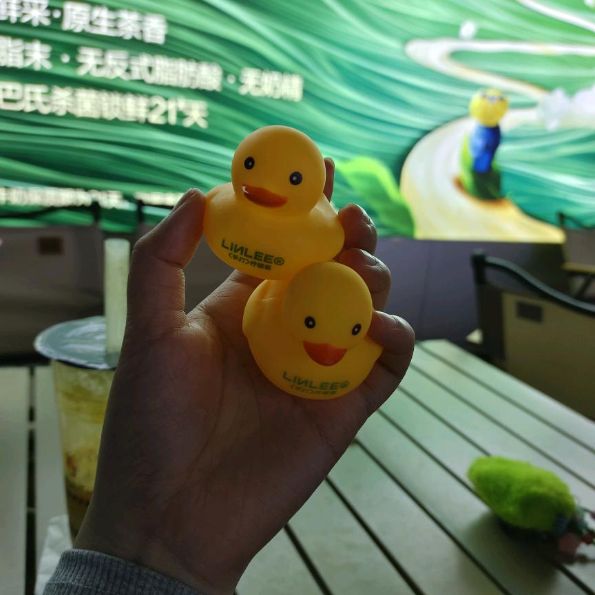 ✨小星星✨