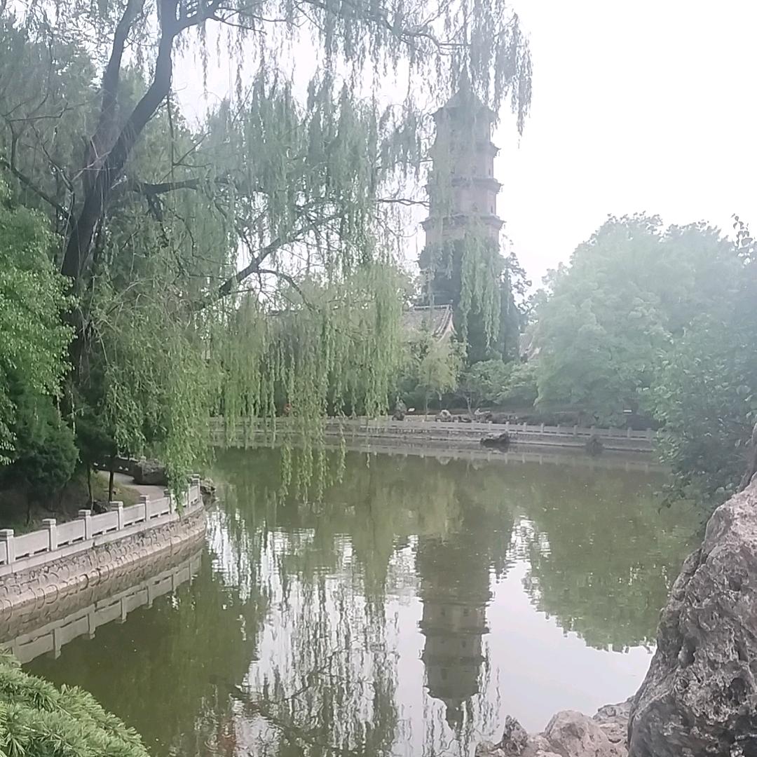 东哥&