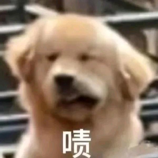修狗