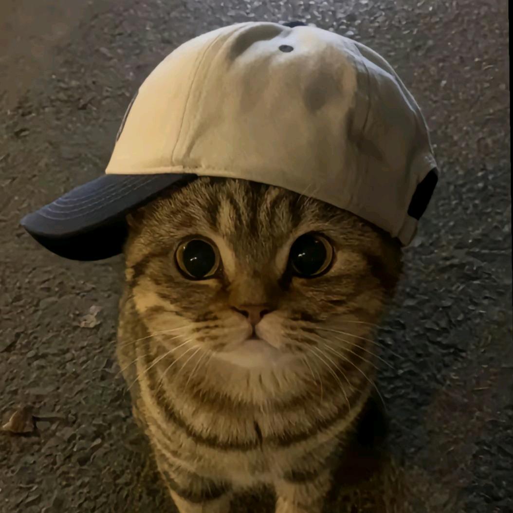 瘩帅@