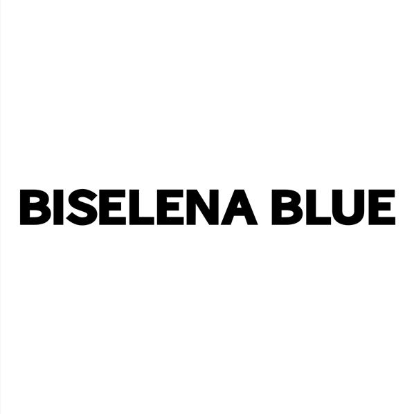 贝茜妮BISELENA浙江贝茜妮时装有限公司专卖店