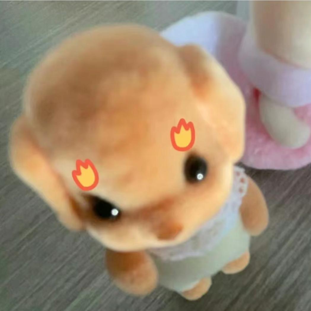 陈述