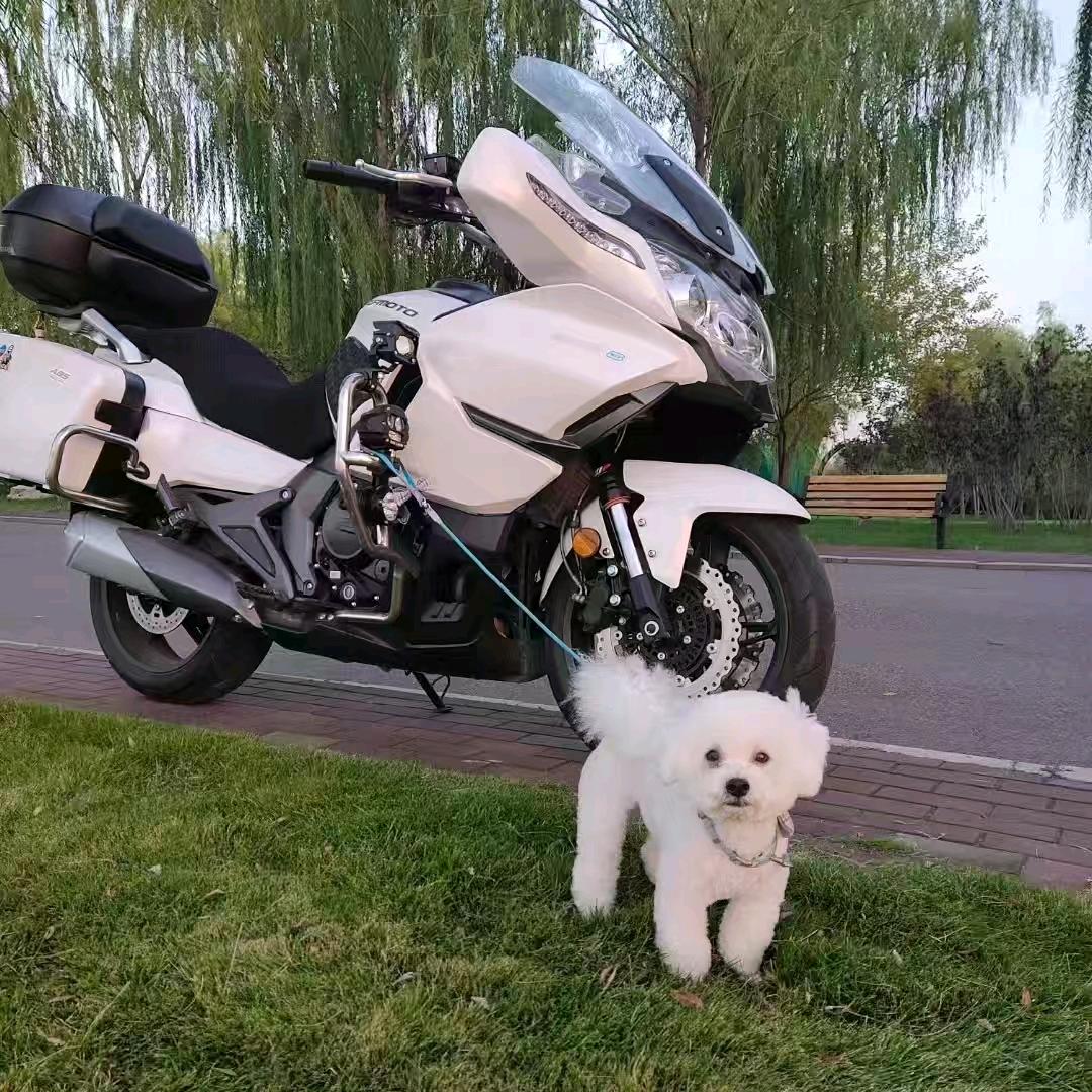 し𝑜𝒗𝒆人间✨小迷糊༉