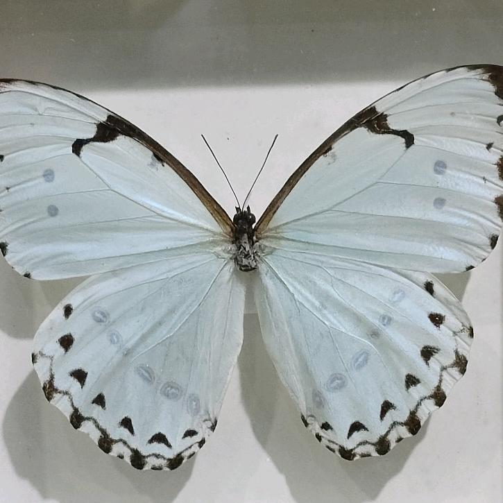 漫漫人生路。风雨伴我行。