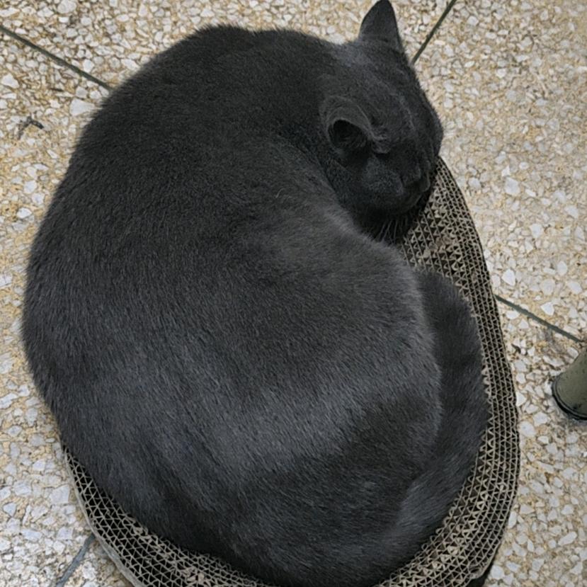 嵩时间留痕