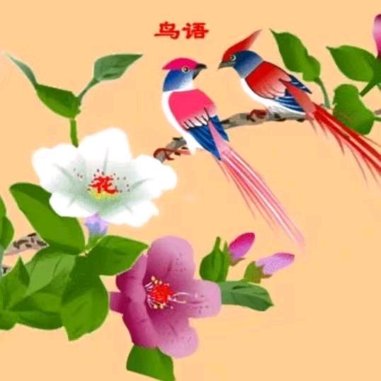 梦里游玩
